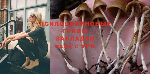 винт Аркадак