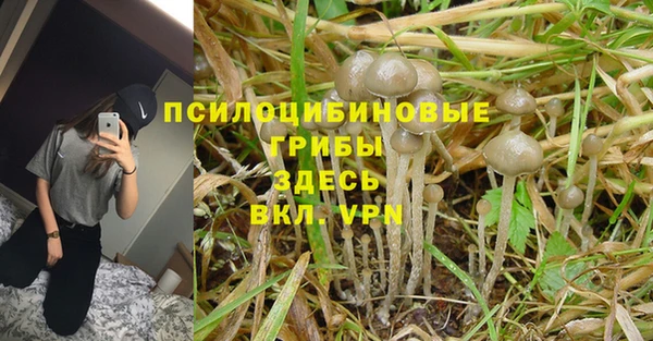 a pvp Арсеньев
