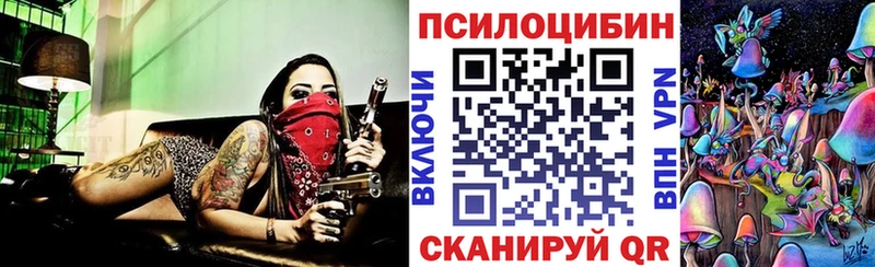 закладка Реутов Галлюциногенные грибы Psilocybine cubensis